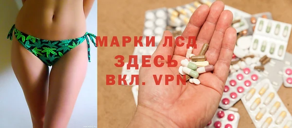 mdpv Гусев