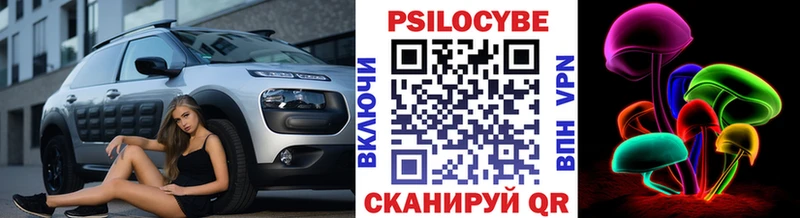 Псилоцибиновые грибы Psilocybe  купить наркотик  ОМГ ОМГ   Ипатово 